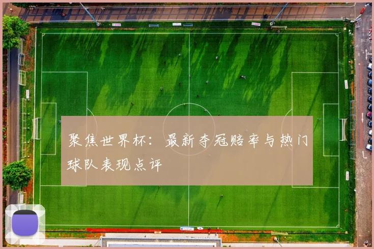 聚焦世界杯：最新夺冠赔率与热门球队表现点评