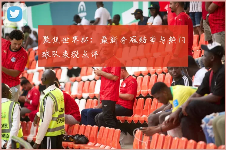 聚焦世界杯：最新夺冠赔率与热门球队表现点评