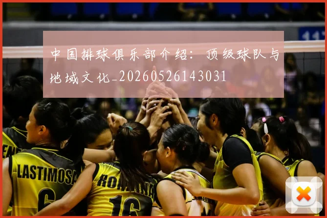 中国排球俱乐部介绍：顶级球队与地域文化_20260526143031