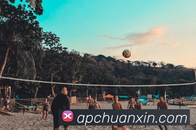 杏彩体育APP 封面图
